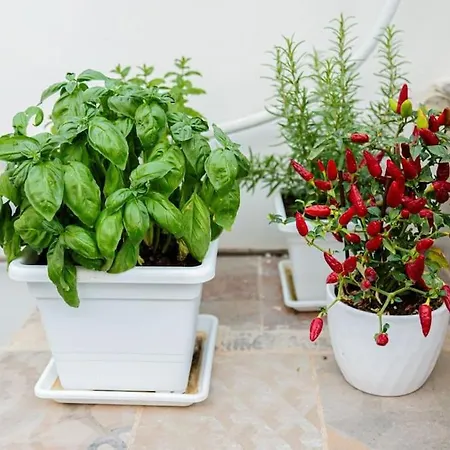 La Terrazza In Fiore Сasa de vacaciones Noto
